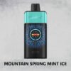 MOUNTAIN SPRING MINT ICE – IGET ONE – 12000 PUFFS